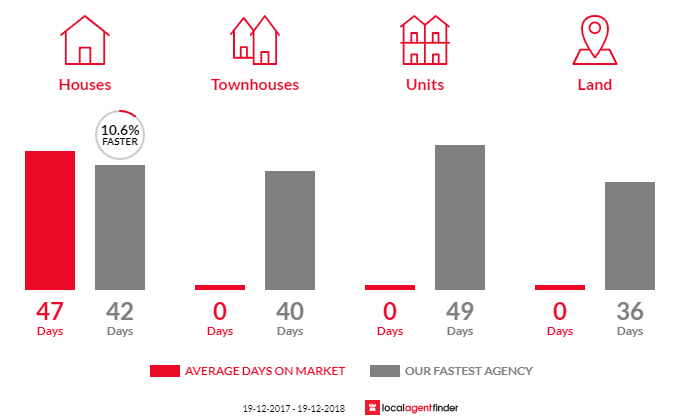 Average time to sell property in Clifton Grove, NSW 2800